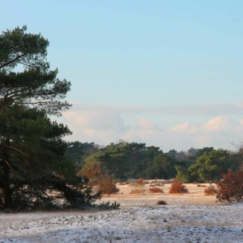 't Zand Otterlo