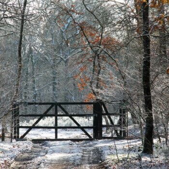 naar Hoge Veluwe